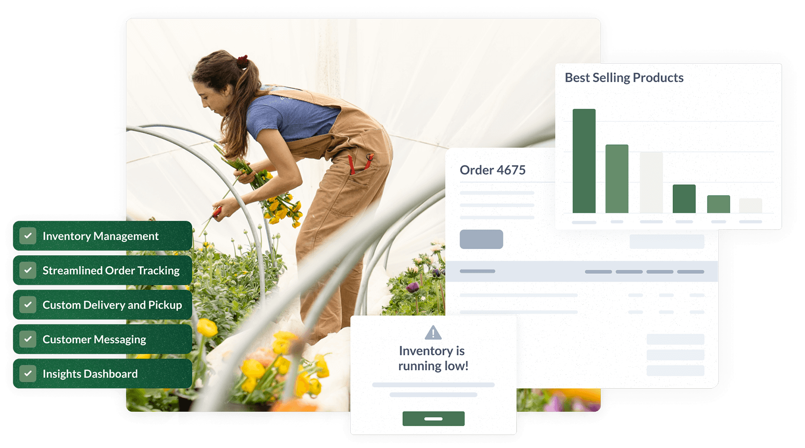 621e006054ca5b8d0dd934a9_Streamline